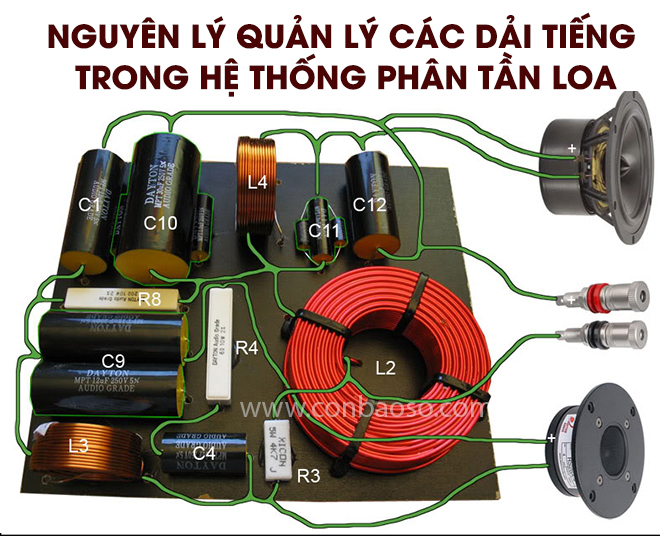 phân tần là gì